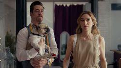 Amores perrunos Amores perrunos