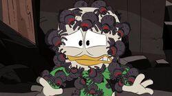 The Golden Armory of Cornelius Coot! The Golden Armory of Cornelius Coot!