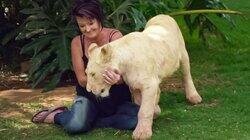 Queen of the Animal Kingdom Queen of the Animal Kingdom