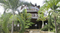 A New Life in Negril A New Life in Negril