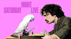 Peter Dinklage / Gwen Stefani Peter Dinklage / Gwen Stefani