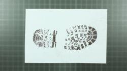 DNA of a Murder