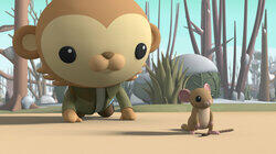 Sleepwalking Dormice Sleepwalking Dormice