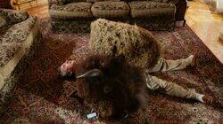 Trapped Under a Buffalo Head Trapped Under a Buffalo Head