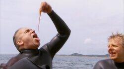 The Seafood Chronicles The Seafood Chronicles