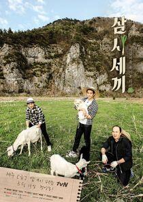 Three Meals a Day - Season 3 Three Meals a Day - Season 3
