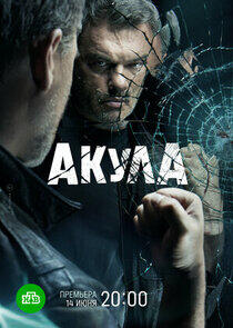 Акула Акула
