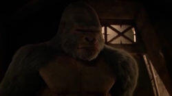 Attack on Gorilla City Attack on Gorilla City