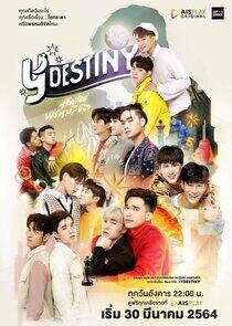 Y Destiny Y Destiny