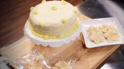 Celebration Cakes Celebration Cakes