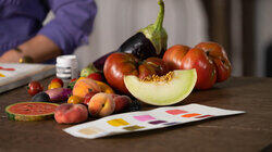 Summer Harvest Still Life Summer Harvest Still Life