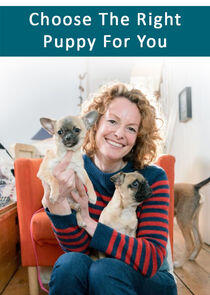 Choose the Right Puppy for You Choose the Right Puppy for You
