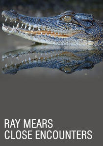 Ray Mears: Close Encounters Ray Mears: Close Encounters