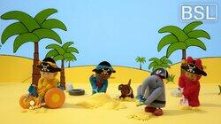 Diggy Pirate Hunt Diggy Pirate Hunt