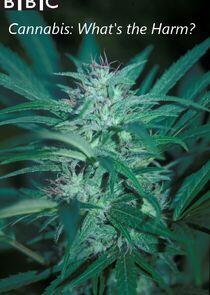 Cannabis: What's the Harm? Cannabis: What's the Harm?