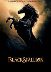 The Adventures of the Black Stallion The Adventures of the Black Stallion