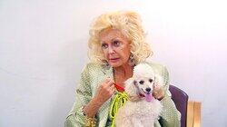 Diamond, Sweetie, Hopity & Dandi Diamond, Sweetie, Hopity & Dandi