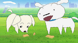 Shiro's Moving Story / Seeing Chinanago Shiro's Moving Story / Seeing Chinanago