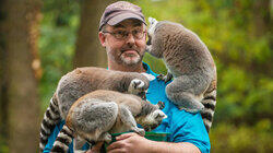 Lady Boss Lemur Lady Boss Lemur