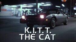 K.I.T.T. the Cat K.I.T.T. the Cat
