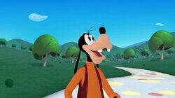 Goofy's Hat Goofy's Hat
