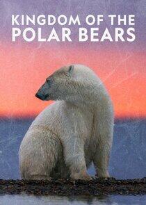 Kingdom of the Polar Bears Kingdom of the Polar Bears