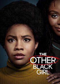 The Other Black Girl The Other Black Girl
