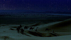 Star of Bethlehem Star of Bethlehem