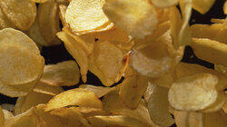 Chip Dynasties Chip Dynasties