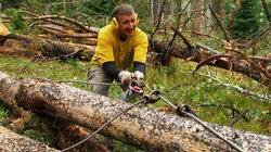 Log Runners Log Runners