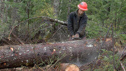 A Logger's Thanksgiving A Logger's Thanksgiving