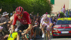 David contre Goliath