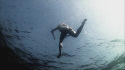 Dead in the Water