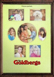The Goldbergs The Goldbergs