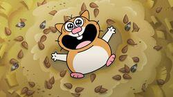 Hampered Hamster Hampered Hamster
