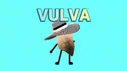 Vulva Vulva