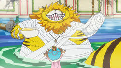 Let's Go See Master Nekomamushi Let's Go See Master Nekomamushi