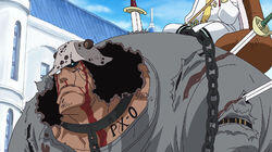 Sabo Enraged! The Tragedy of the Revolutionary Army Officer Kuma! Sabo Enraged! The Tragedy of the Revolutionary Army Officer Kuma!