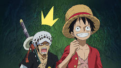 The Legendary Journey! The Dog and the Cat and the Pirate King! The Legendary Journey! The Dog and the Cat and the Pirate King!
