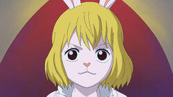 Sulong! Carrot's Big Mystic Transformation! Sulong! Carrot's Big Mystic Transformation!