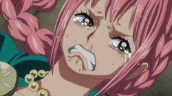 Luffy And The Gladiator Of Fate! Rebecca! Luffy And The Gladiator Of Fate! Rebecca!