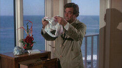 Murder in Malibu Murder in Malibu