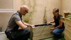 Aflevering 7 Aflevering 7
