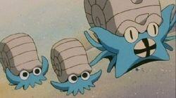 Fossil Fools Fossil Fools