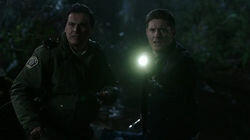 Don't Go in the Woods Don't Go in the Woods