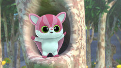 Fly, Sugar Glider, Fly! Fly, Sugar Glider, Fly!