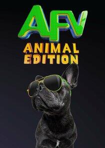 America's Funniest Home Videos: Animal Edition America's Funniest Home Videos: Animal Edition