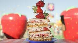 Mad Snacks: Berry Road