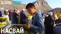 34. Насвай 34. Насвай