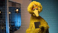 Big Bird Big Bird